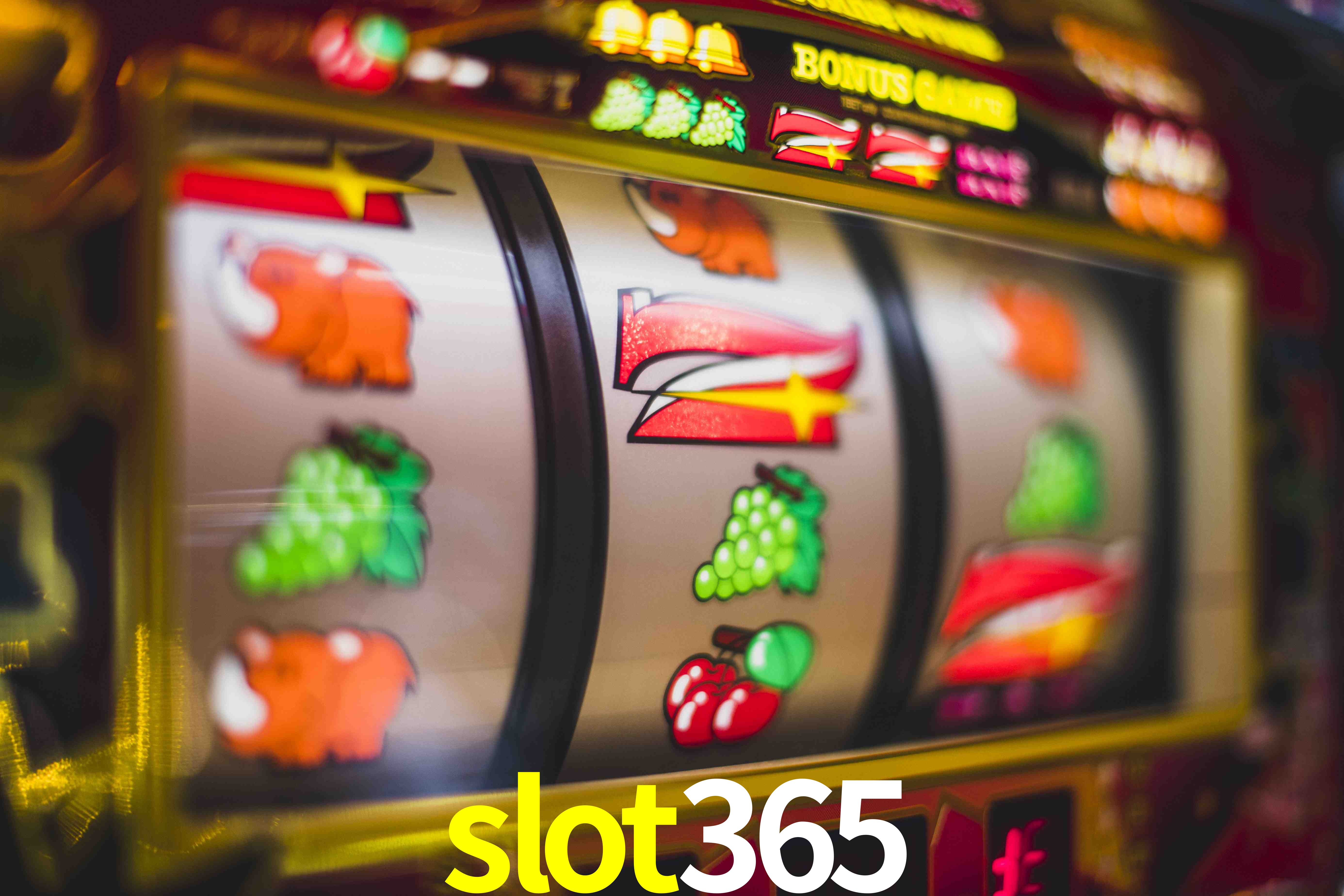Statistics slot365