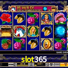 slot365 Rio de Janeiro - Professional Dealers